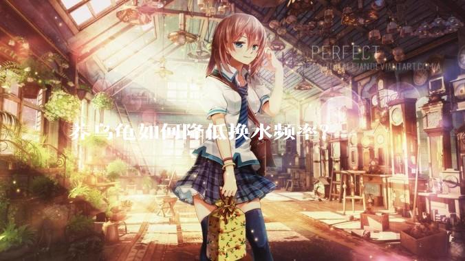 养乌龟如何降低换水频率？