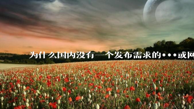 为什么国内没有一个发布需求的***或网站呢？