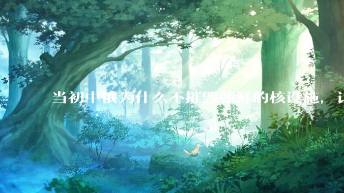 当初中俄为什么不摧毁朝鲜的核设施，让朝鲜拥有了自己的核武器？