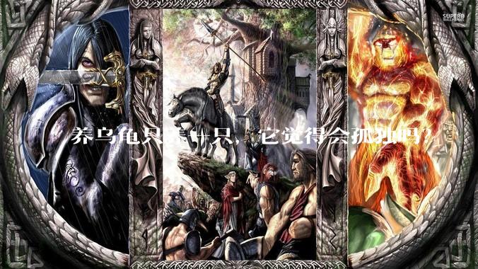 养乌龟只养一只，它觉得会孤独吗？