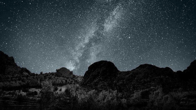 南京一森林公园现大量竹节虫,形似枯枝,网友称凑近才发现是虫子落荒而逃,竹节虫会不会咬人?碰到它会怎样?