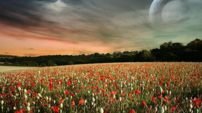 AI 都能写代码了，还要学计算机吗？